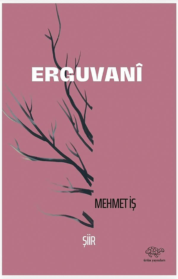 Mehmet İş’ten yeni kitap: “Erguvanî” 